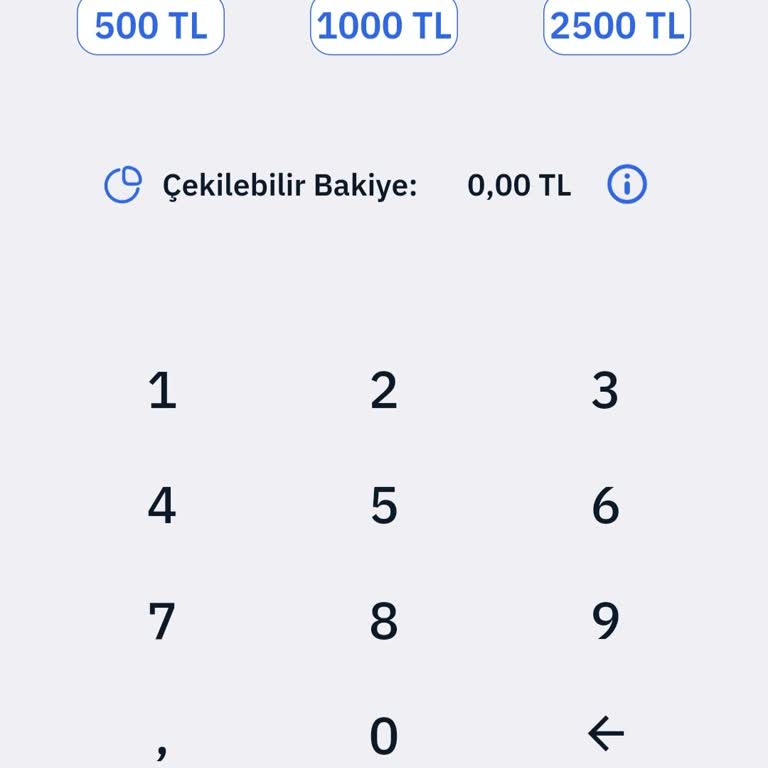 Migros Pro Kart Bakiyesinde Erişim Sorunu