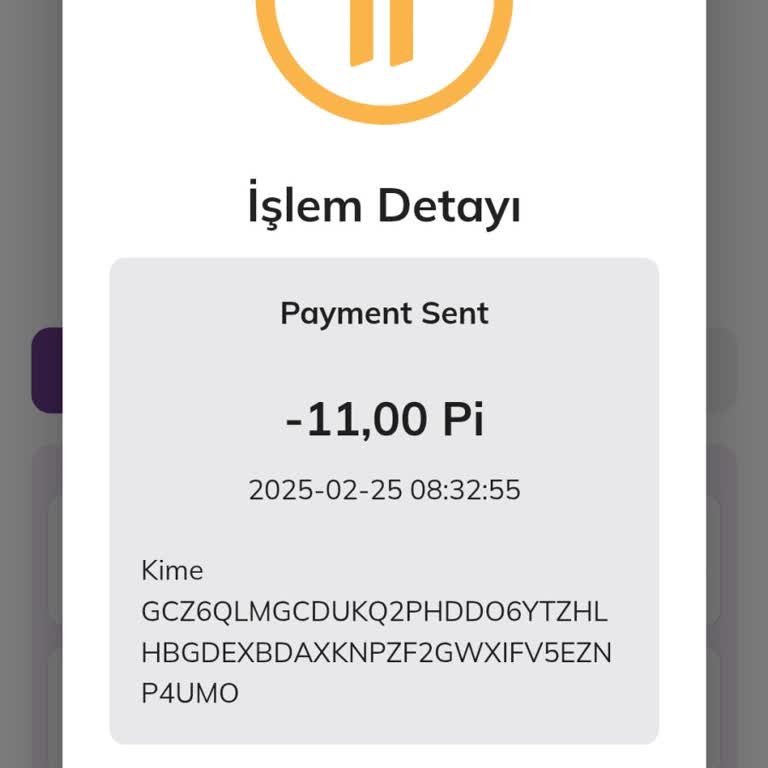 Unauthorized Pi Network Transaction – Pi Coins Transferred Without My Consent