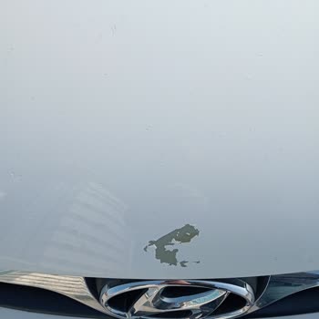 Hyundai Boya Problemleri: Sürekli Dökülme Ve Yetersiz Destek