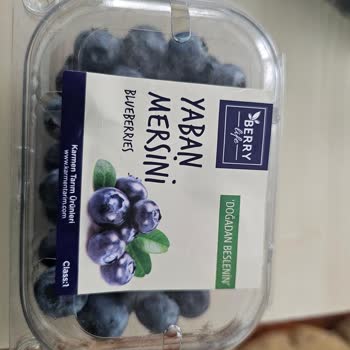 Bozuk Yaban Mersini Deneyimi: Ezilmiş Ve Küflenmiş Ürünler