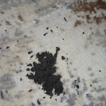 Su Kaçıran Makine Sorunu