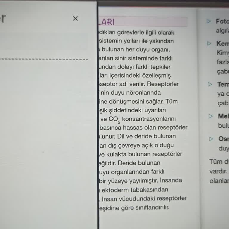 Kitap İçindekiler Kısmı Eksikliği