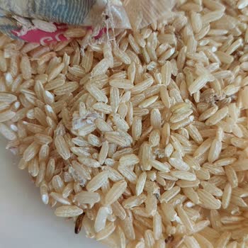 A101'den Aldığım Pirinçte Kurt Ve Yumurtalar Çıktı