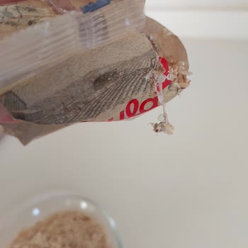 A101'den Aldığım Pirinçten Kurt Çıktı