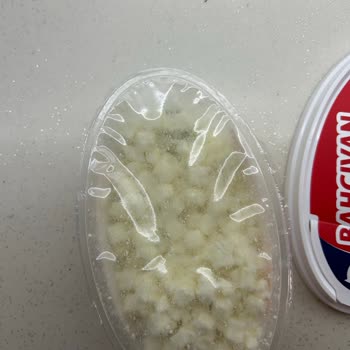 Küflü Peynir Şoku: Bahçıvan Markasına Güven Sarsıldı