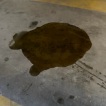 Har Car Otomotiv Bolu Mağduriyet Yaşama