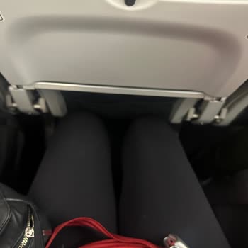 Ajet Evcil Hayvan Taşıma Ve Uçuş Konforu Sorunu