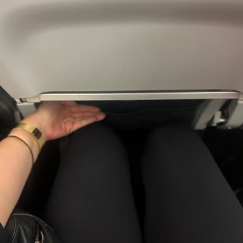 Ajet Evcil Hayvan Taşıma Ve Uçuş Konforu Sorunu