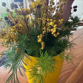 Çiçek Sepeti'nde Hayal Kırıklığı: Gönderilen Ürün Fotoğraftakinden Çok Farklı!