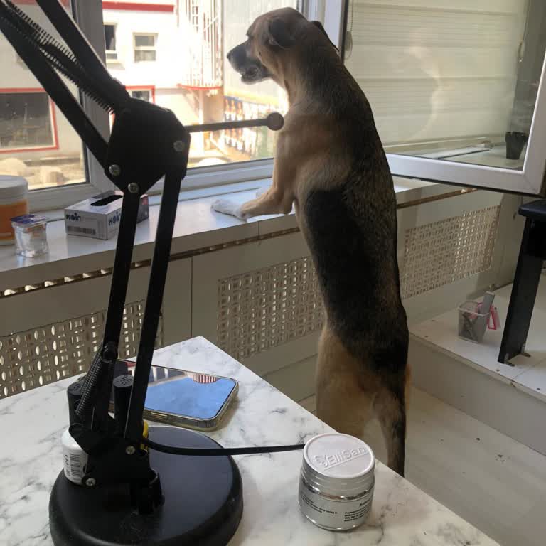 Hijyen Sorunları Ve Kötü Hizmet Deneyimi