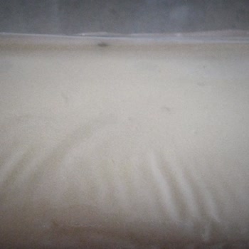 Küflü Kaşar Peyniri Şoku