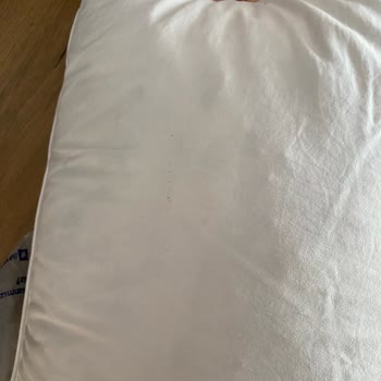 Dry Clean Express Kuru Temizleme Fiyaskosu: Kaz Tüyü Yastık Sorunu
