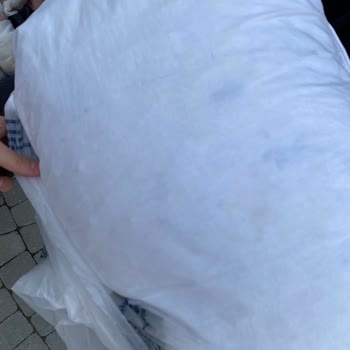 Dry Clean Express Kuru Temizleme Fiyaskosu: Kaz Tüyü Yastık Sorunu