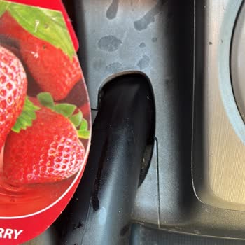 Araç İçin Satılan Ürün Arabaya Zarar Veriyor