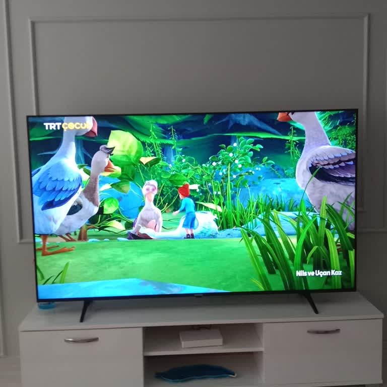 Grundig Televizyon Montajında Yetersiz Bilgilendirme Ve Ek Ücret Talebi