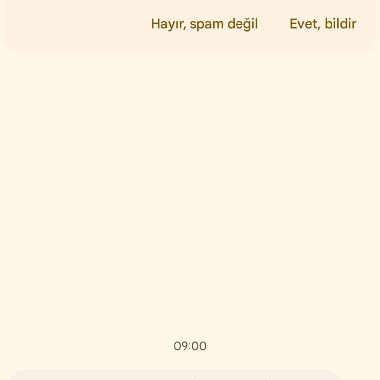 Yanlış Kayıtlarla Başım Dertte: Mapfre Sigorta'nın İletişim Hatası