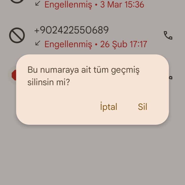 Ekran Renk Sorunu: Koyu Kahve Ve Pembe Tonları