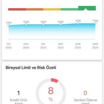 Araç Kiralama Sürecinde Yaşanan Sorunlar Ve Memnuniyetsizlik
