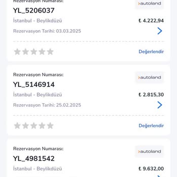 Araç Kiralama Sürecinde Yaşanan Sorunlar Ve Memnuniyetsizlik