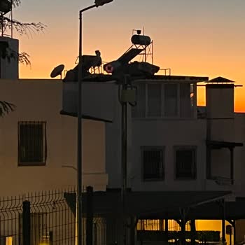 Sokak Lambalarının Yanmadığına Dair Şikayet