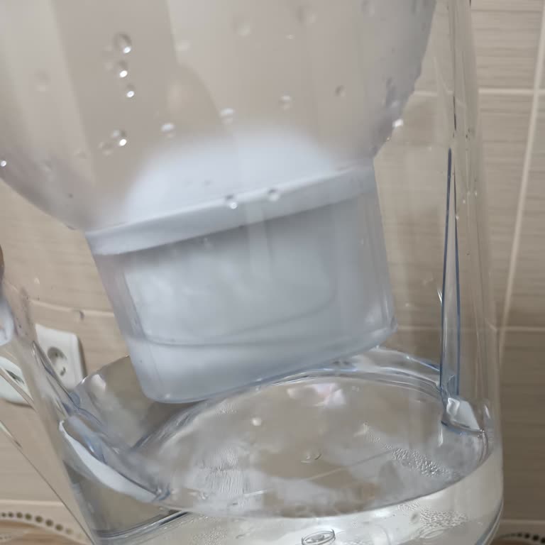 Brita Su Arıtma Sürahisi Filtre Sorunu: Su Birikmesi Ve Potansiyel Bakteri Riski