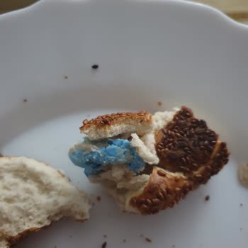 Dondurulmuş Simitin İçinden Eldiven Parçası Çıktı