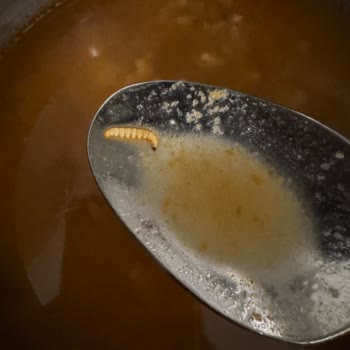 Son Kullanma Tarihi Geçmemiş Çorbada Kurt Şoku