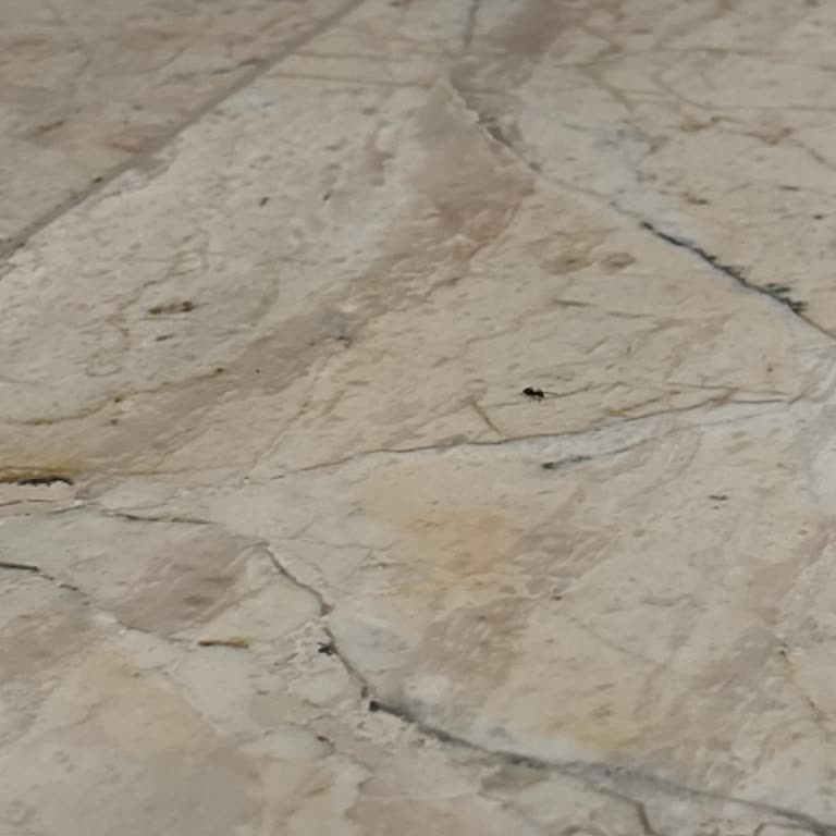 Müşteri İletişimi Ve Temizlik Sorunları