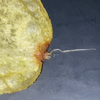 Cips Paketinde Şok Edici Sürpriz!
