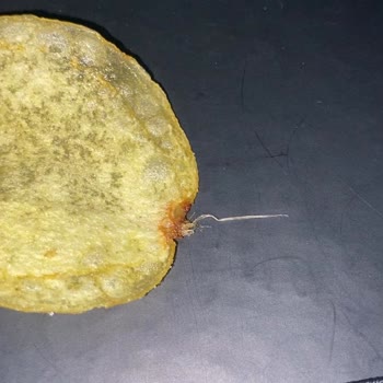Cips Paketinde Şok Edici Sürpriz!
