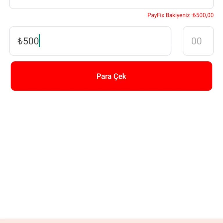 PayFix Para Çekme Sorunu Ve Destek Eksikliği