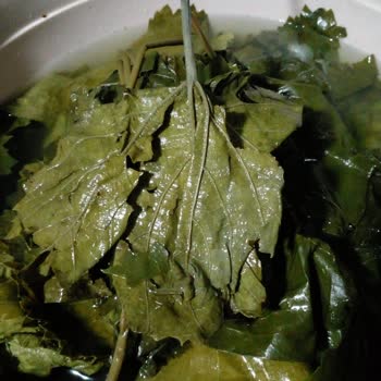 Migros'tan Aldığım Üzüm Yaprakları Hayal Kırıklığı Yarattı