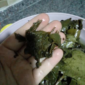 Migros'tan Aldığım Üzüm Yaprakları Hayal Kırıklığı Yarattı