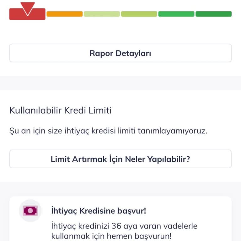 Kredi Notu Sorgulama Sorunu