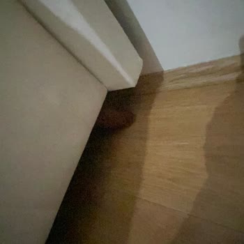 Kelebek Mobilya: Kalitesiz Ürünler Ve Yetersiz Servis Hizmeti