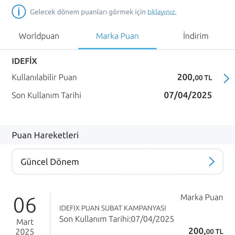 İdefix Word Puan Kullanım Sorunu