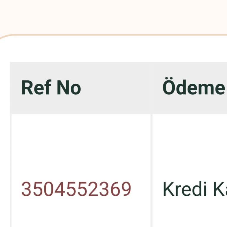Kap-in Sitesinde Sipariş Sorunları Ve Müşteri Hizmetleri Eksikliği