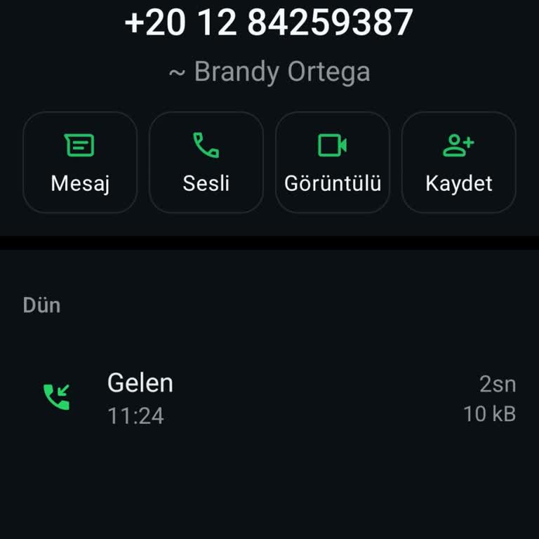 WhatsApp Üzerinden Gelen Gizemli Aramalar