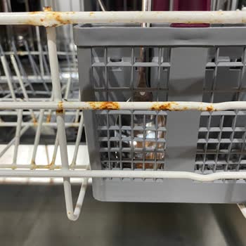 Arçelik Bulaşık Makinesi Paslanma Sorunu Ve Yüksek Servis Ücretleri