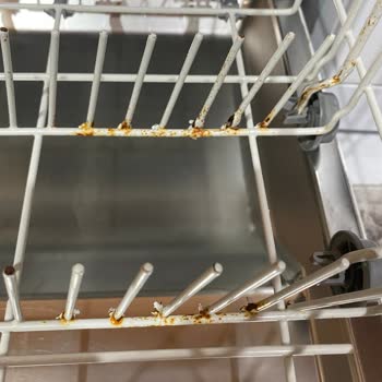 Arçelik Bulaşık Makinesi Paslanma Sorunu Ve Yüksek Servis Ücretleri