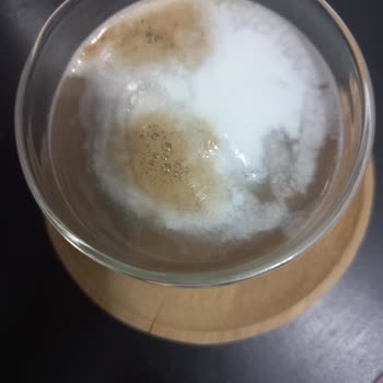 Philips Latte GO Sistemi Arızası