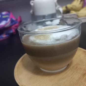 Philips Latte GO Sistemi Arızası