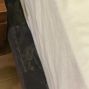 Can Deluxe Hotel Müşteri Memnuniyetsizliği