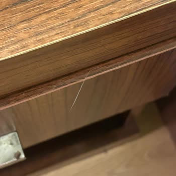 Can Deluxe Hotel Müşteri Memnuniyetsizliği