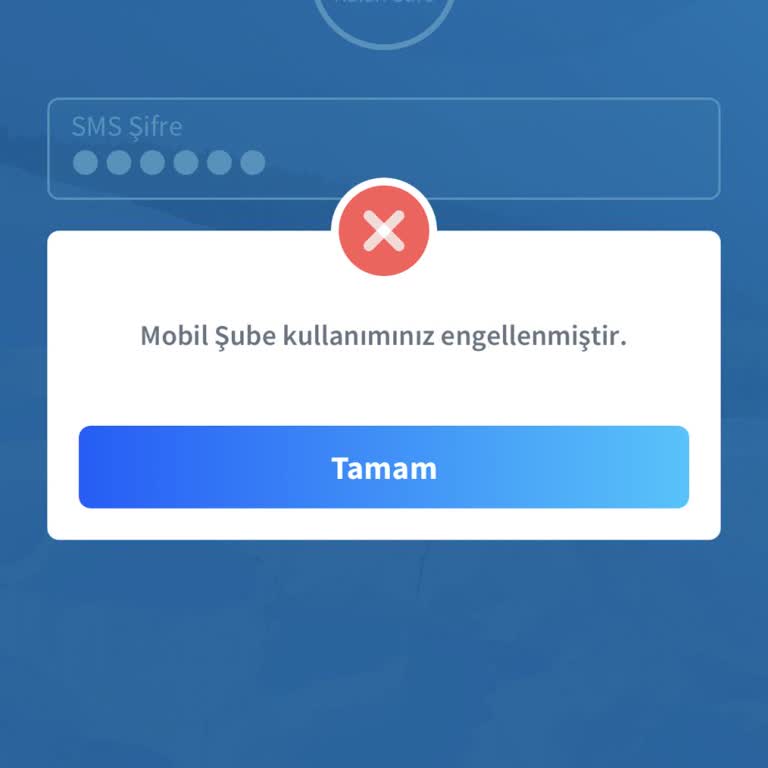 Mobil Bankacılık Erişim Sorunu Ve Yetersiz Müşteri Hizmetleri