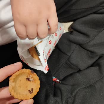 Boş Çıkan Turtacık Bisküviler!