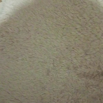 Kalitesiz Halı Deneyimi: Keçeleşme Ve Tüy Sorunu