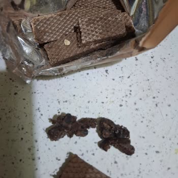 Eti Hoşbeş'te Sert Cisim Tehlikesi