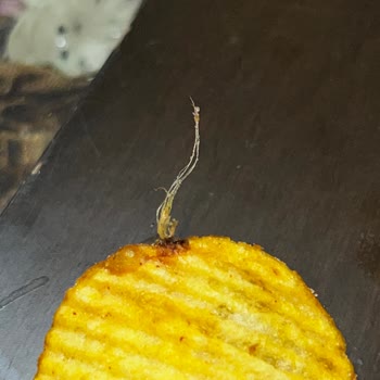 Ruffles Ketçaplıdan Kötü Bir Cisim Çıktı