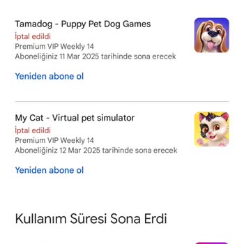 Yetkisiz Abonelik Ve Geri Ödeme Sorunu